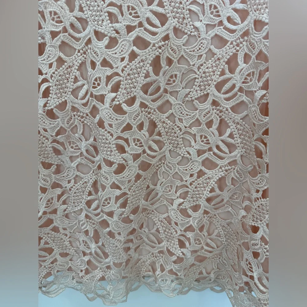 Lauren Ralph Lauren Blush Pink Lace Sheath V-Neck Sleeveless Cocktail Dress SZ 8 - Picture 7 of 15